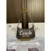 Coach Teri Mini Crossbody Bag