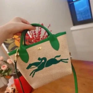 Long Champ Bag