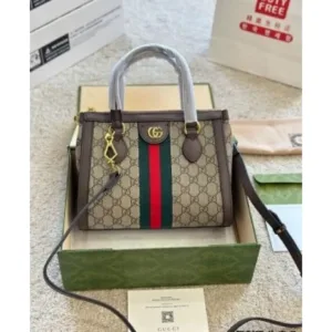 Gucci Ophidia GG Bag