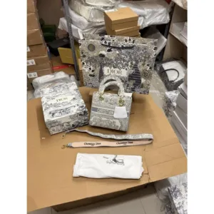 Christian Dior Bag