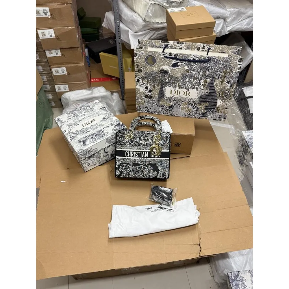 79 Christian Dior Bag