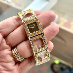 Christian Dior Watch Gold-Black For Women (SW344)