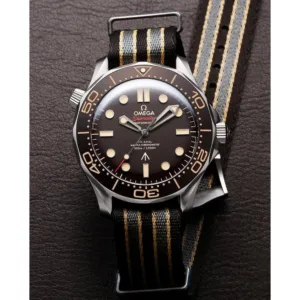 Omega Seamaster Watch For Men (LAB995)